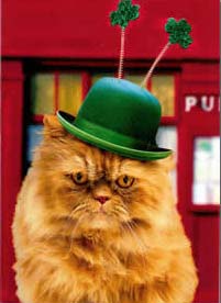 irishcat.jpg